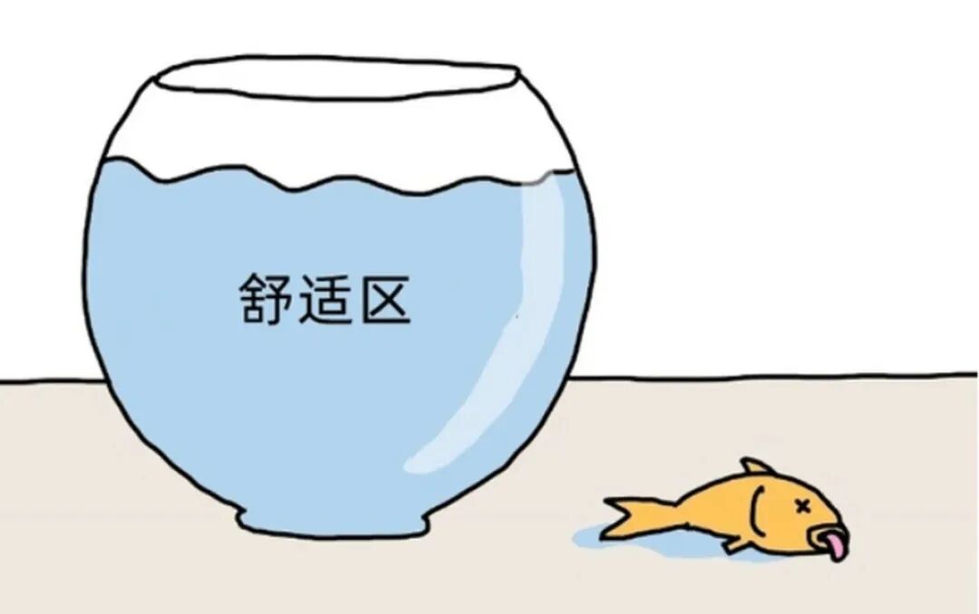 既然舒适区那么舒服，我凭什么要跳出来？